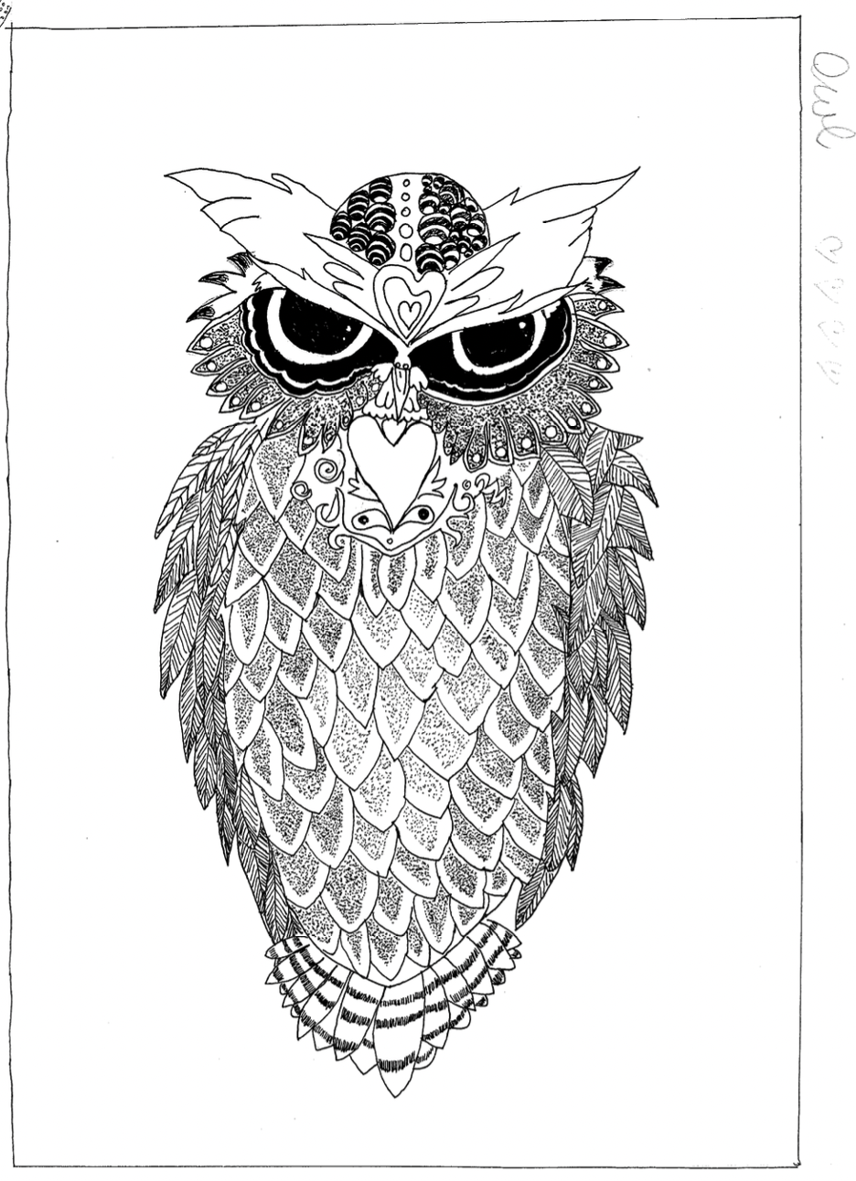 Master Owl