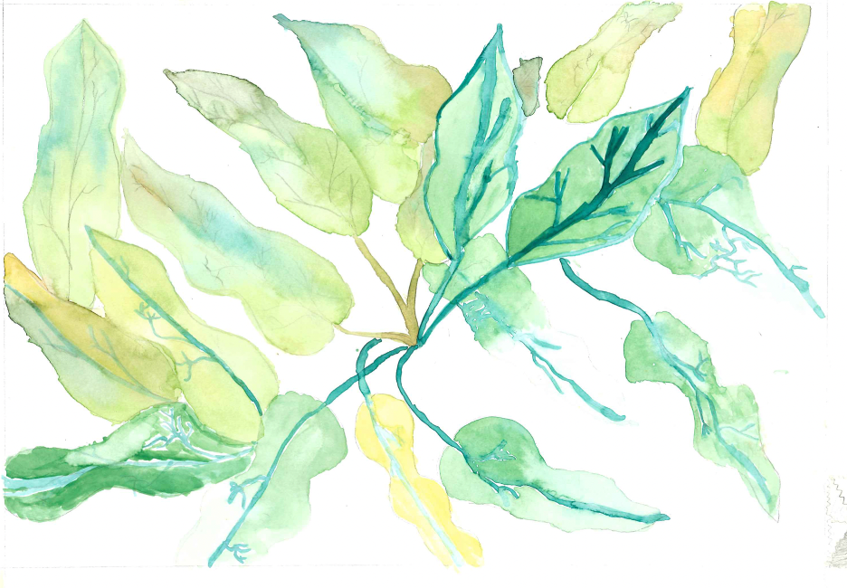 Watercolor-Leaves