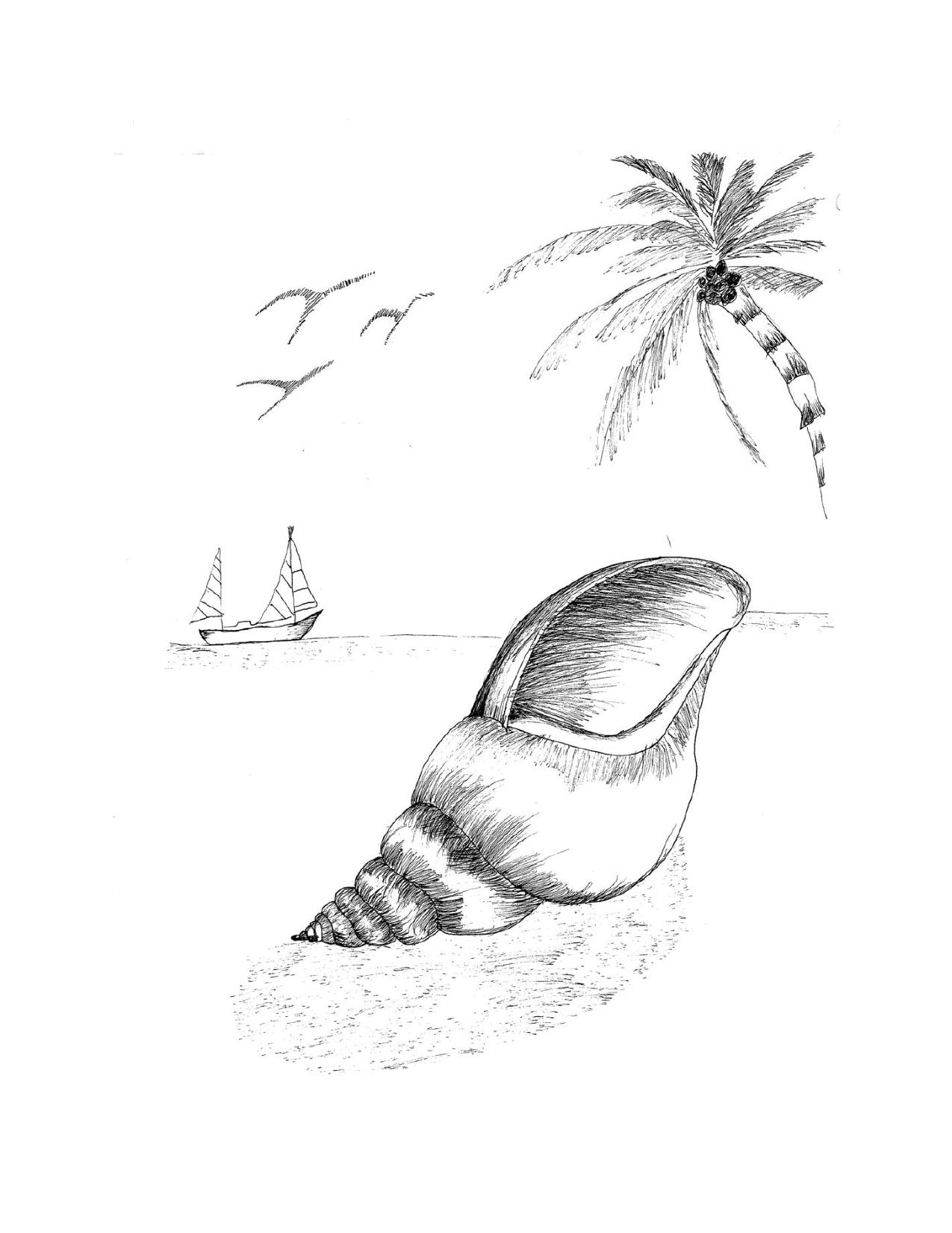 She sees seashells on the sea shore