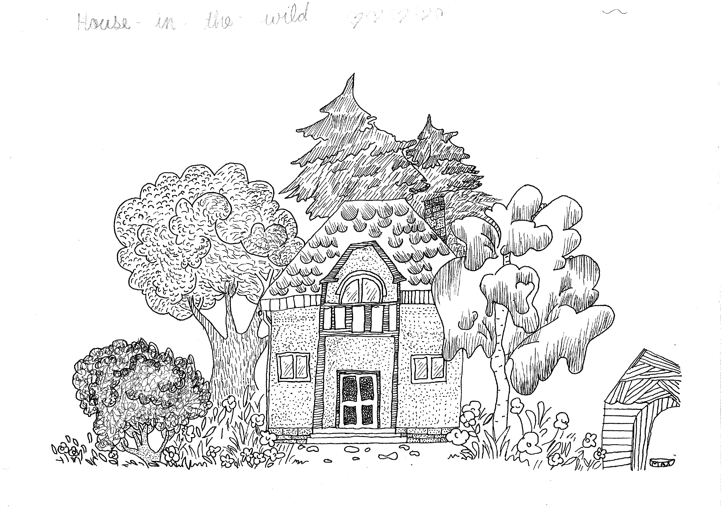 House in the wild