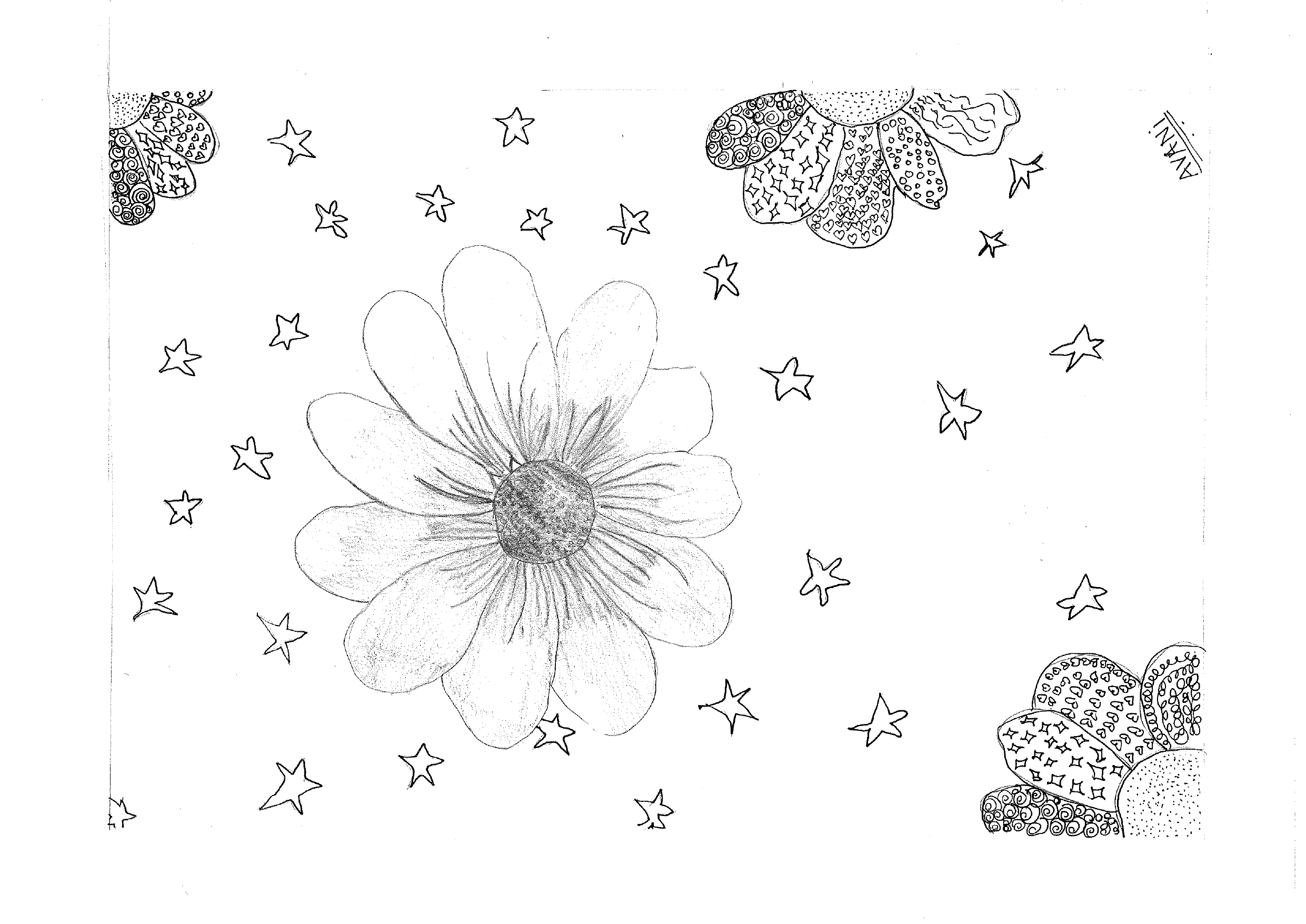 Stars & flowers in the sky